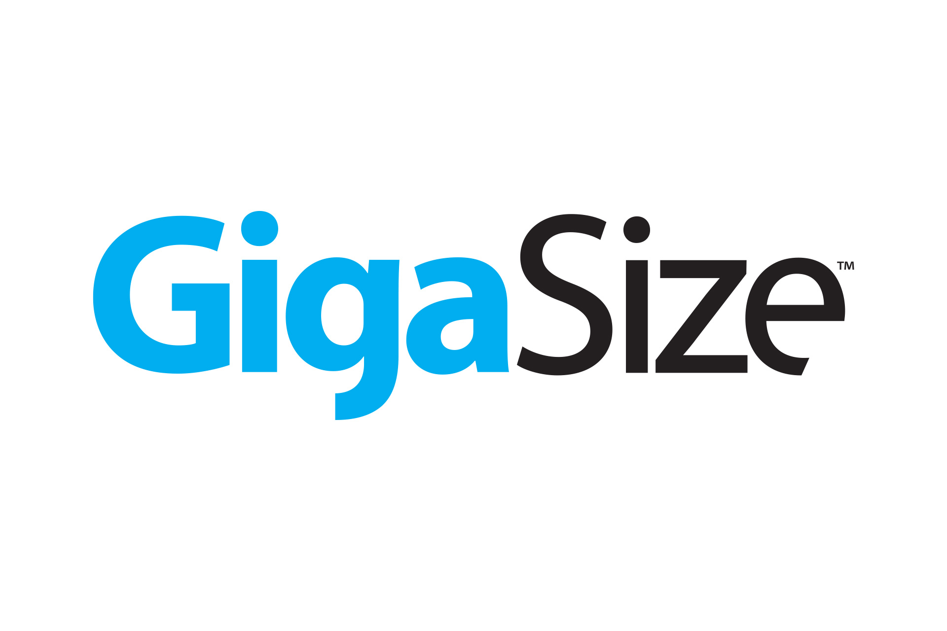 GigaSize Cloud Storage